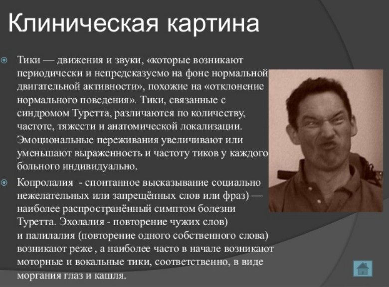 Тики