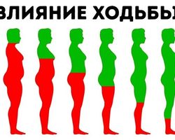 Сколько шагов нужно проходить в день пешком мужчинам и женщинам для здоровья, чтобы похудеть, беременным? Сколько в среднем метров в 1 шаге человека? За сколько шагов ходьбы сжигается 1 калория?