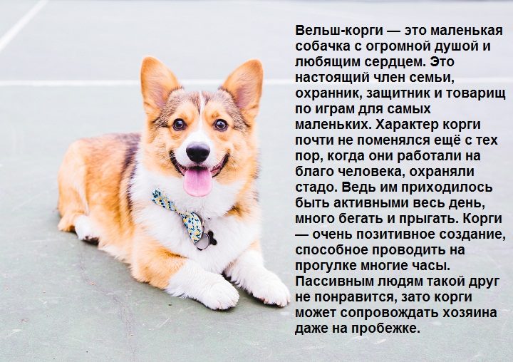 Описание