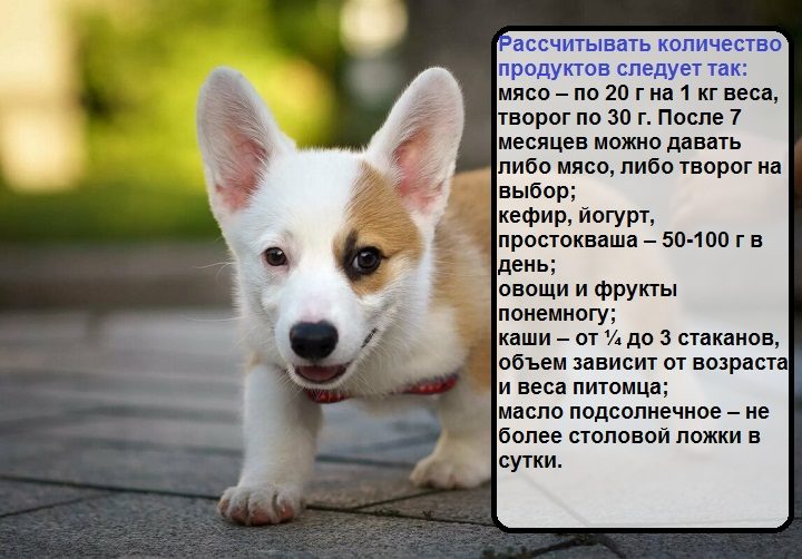 Расчет