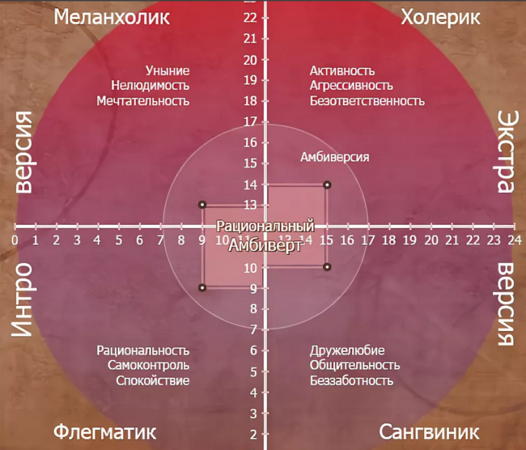 Амбиверт — темперамент, черты характера: сангвиник, холерик, флегматик, меланхолик