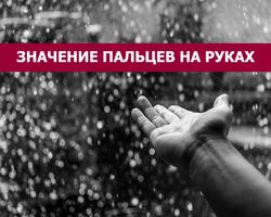 Астрологическое значение пальцев: планеты и знаки Зодиака пальцев
