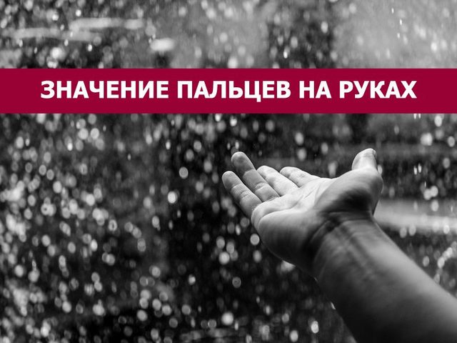 Астрологическое значение пальцев: планеты и знаки Зодиака пальцев