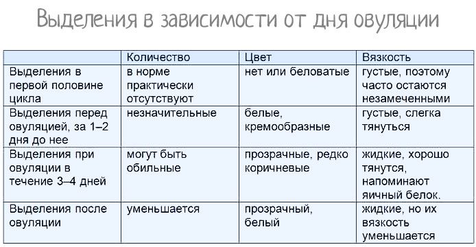 Норма