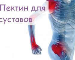 Пектин для суставов: польза. Какие желирующие вещества, пектины помогают восстанавливать суставы?
