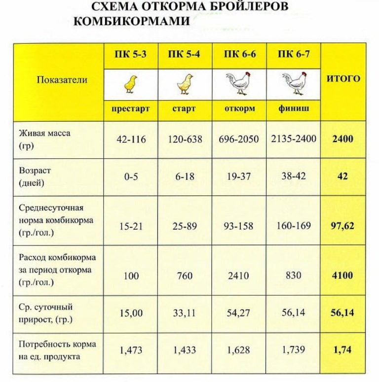 Корма