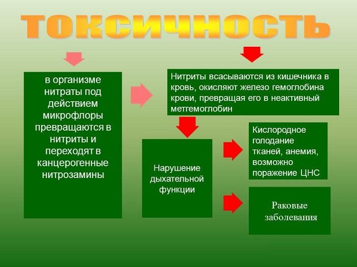Вредное воздействие на организм нитратов