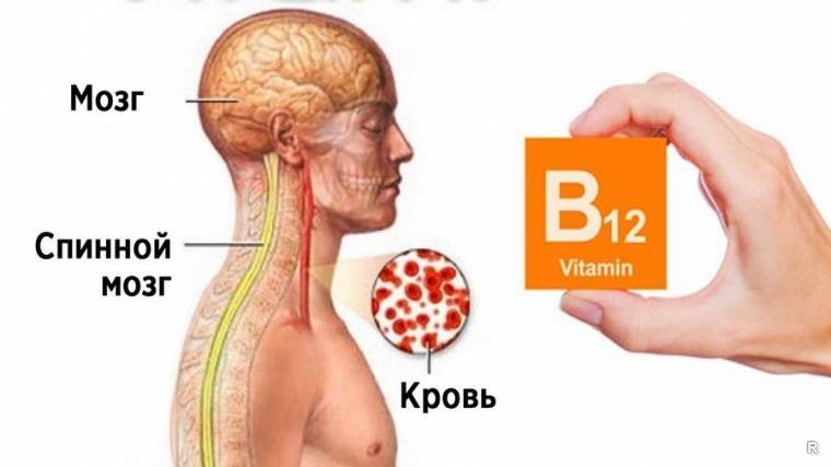 Отражается на всем организме