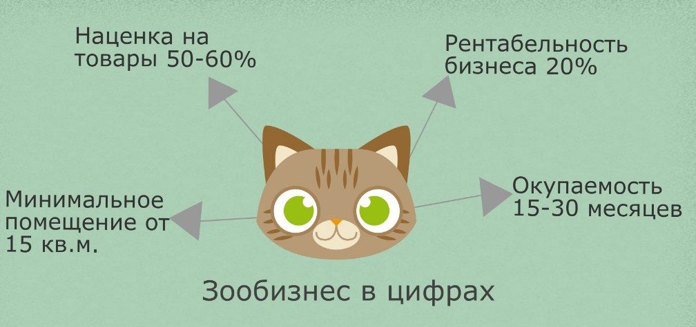 В цифрах
