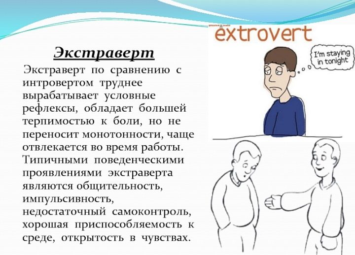 Не выносит одиночества!