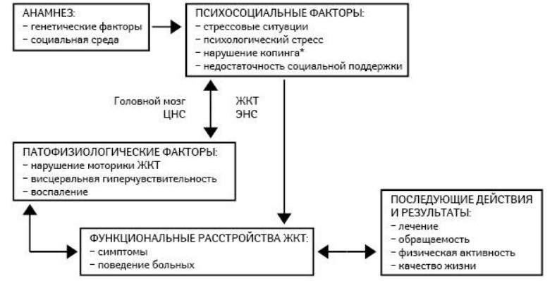 Связь с мозгом и цнс