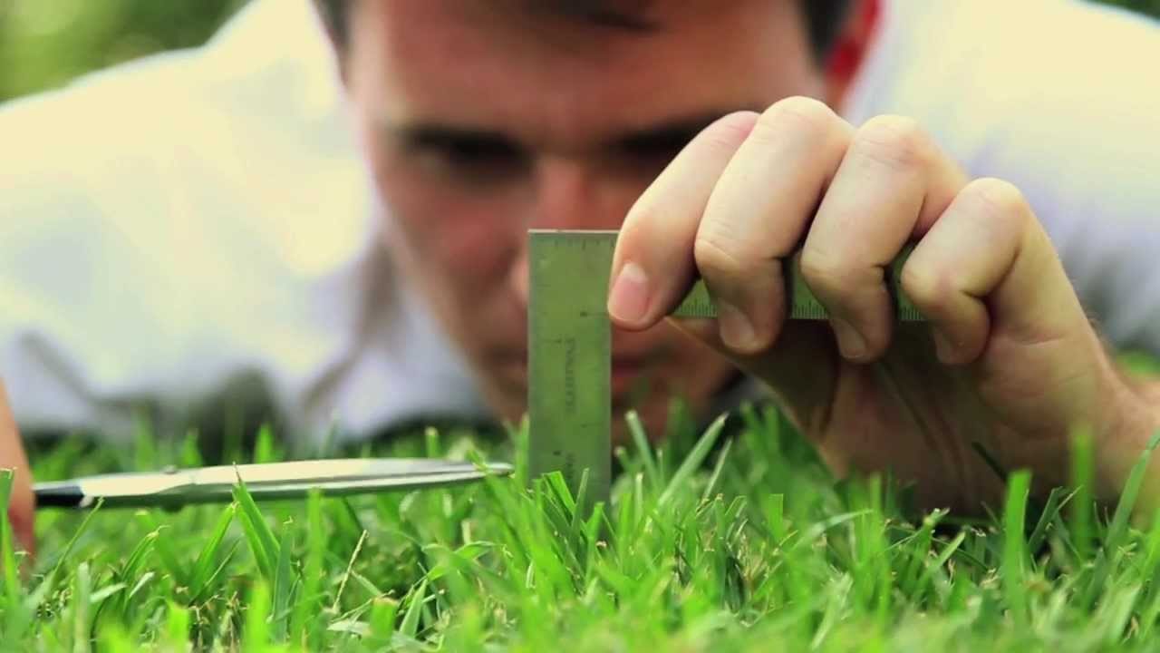 Что такое перфекционизм?