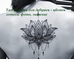 Цветок лотоса — татуировки для девушек: значение, места нанесения, идеи, примеры, эскизы, фото
