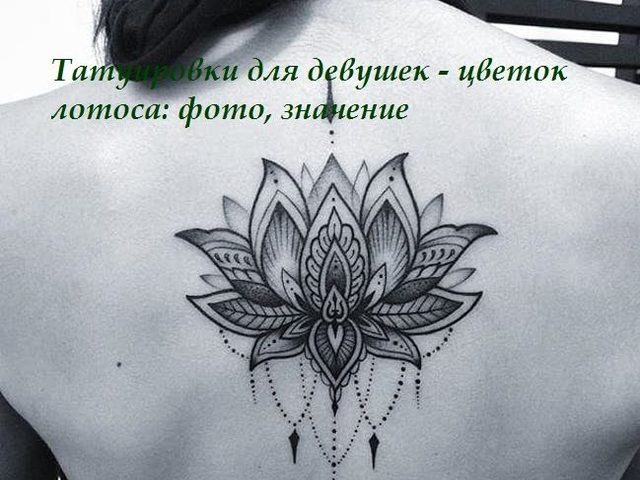 Цветок лотоса — татуировки для девушек: значение, места нанесения, идеи, примеры, эскизы, фото