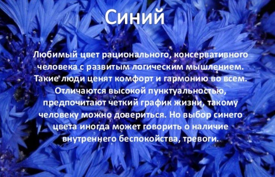 Цвет