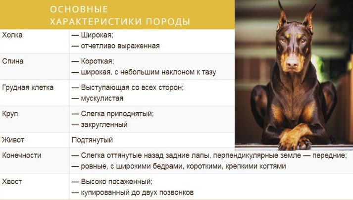 Продолжение