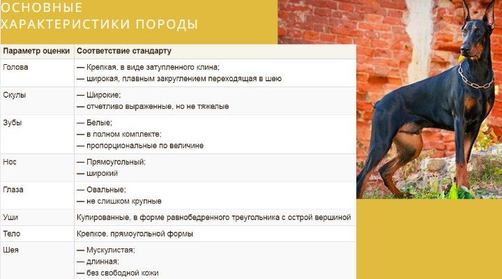 Начало