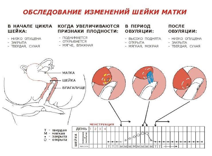 Изменения