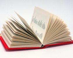 Чем отличаются многозначные слова от однозначных: описание, примеры