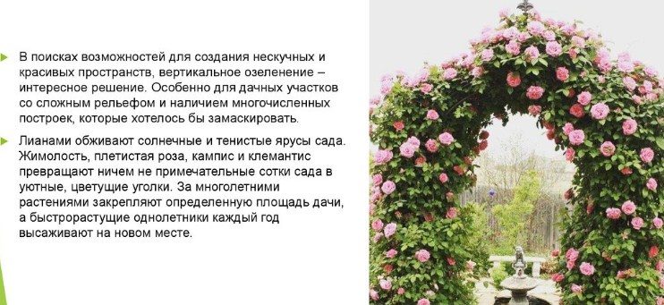 Озеленение