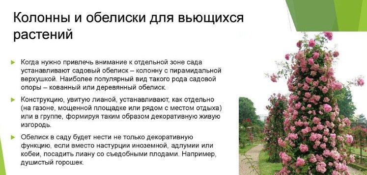Украшение участка