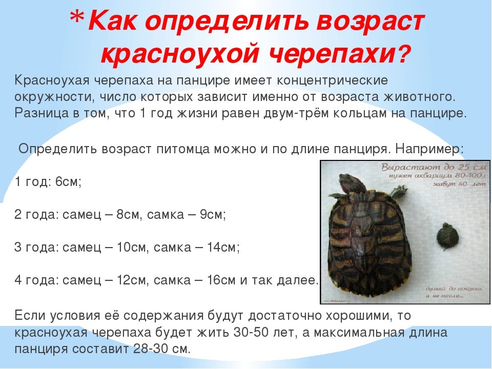 Возраст