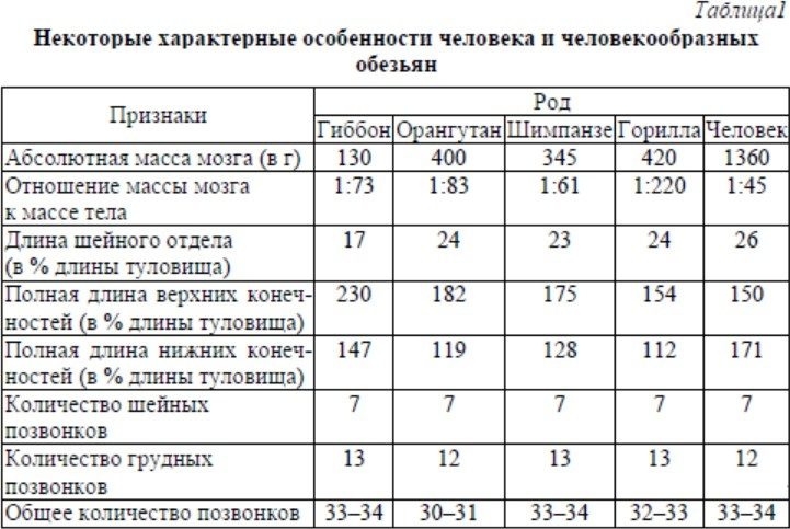Таблица