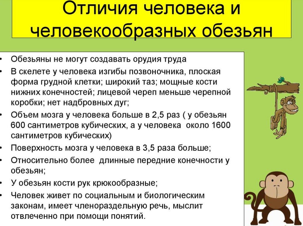 Отличия