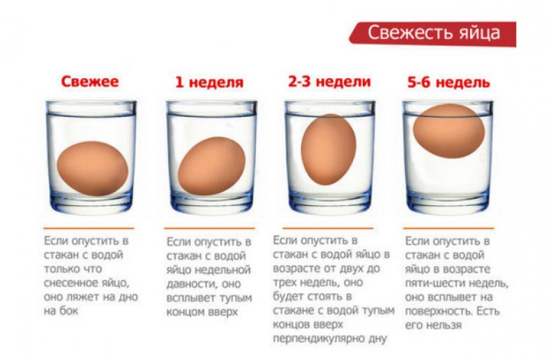 Проверить свежесть