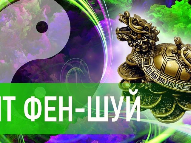 Что символизирует черепаха по Фен-Шуй: значение, описание, характеристика