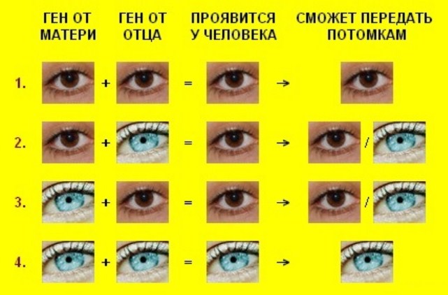 Доминирующий цвет