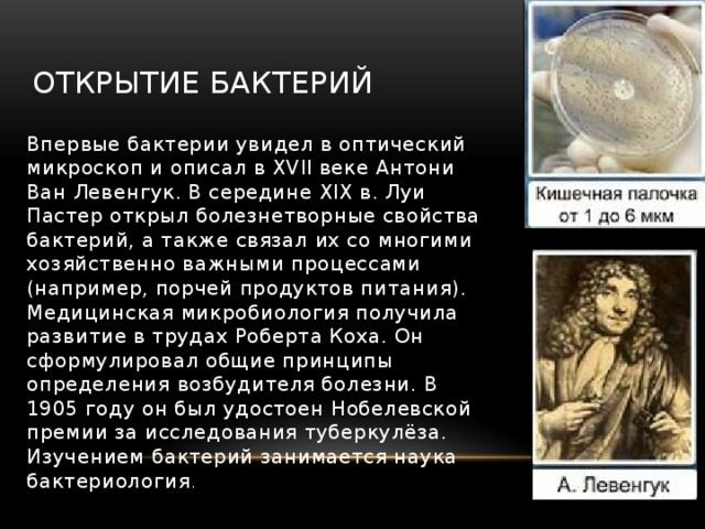 Обнаружил особые свойства
