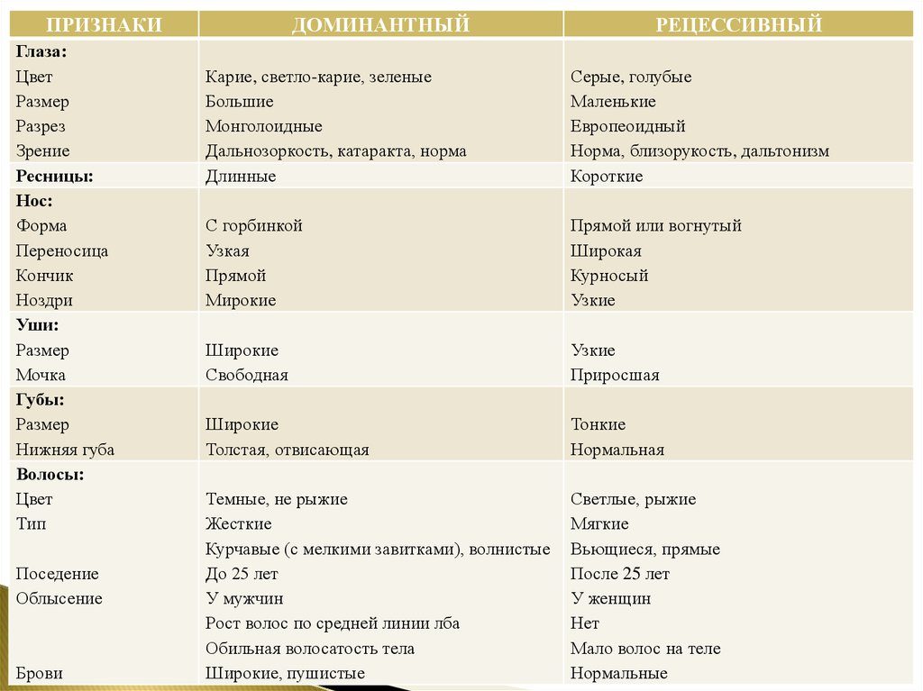 У человека