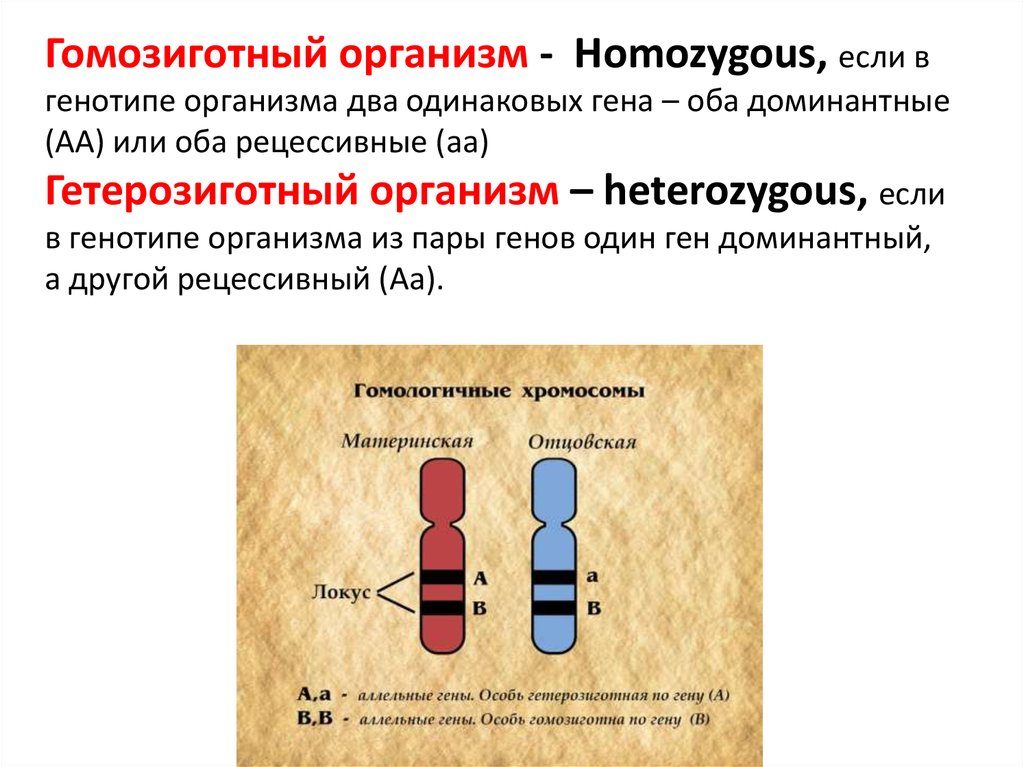 Различия