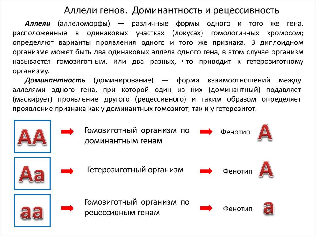 Формы