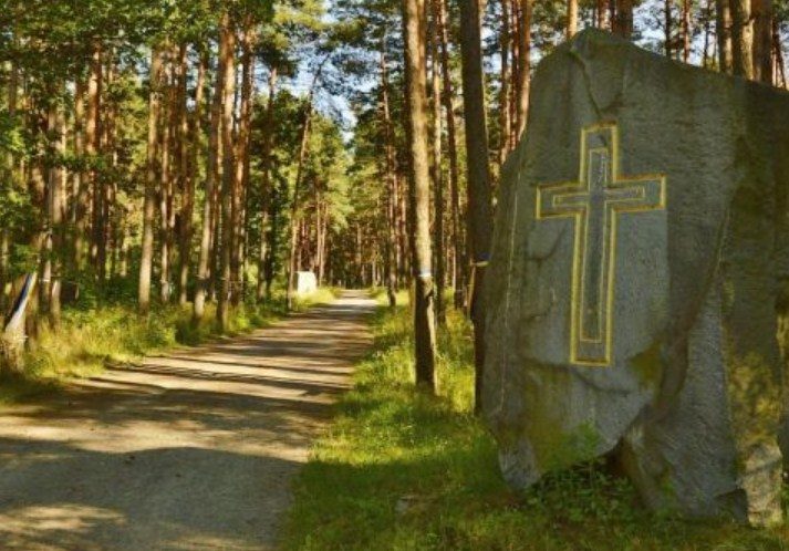 В лесу