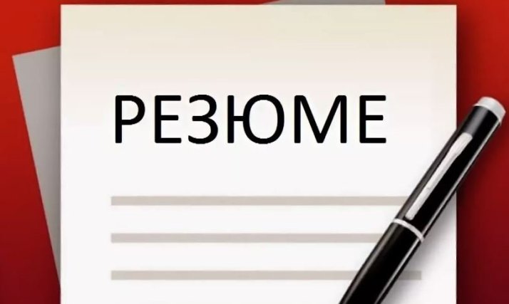 Правильно пишем резюме без опыта работы, чтобы взяли