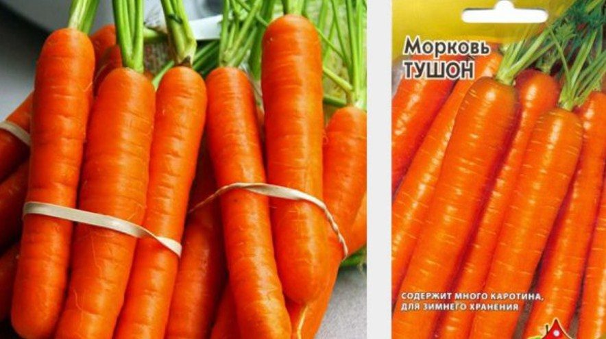 Тушон