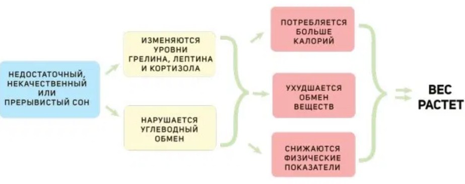 Недостаток сна и ожирение