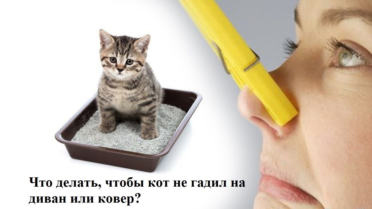 Находим решение