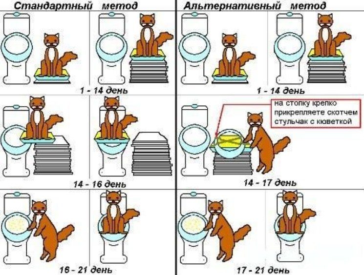 Приучивание