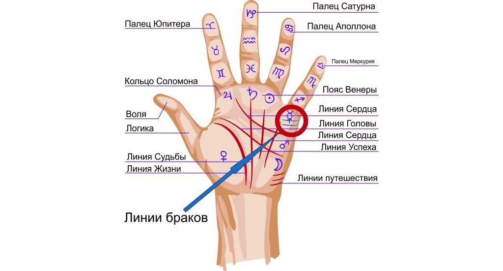 Браки