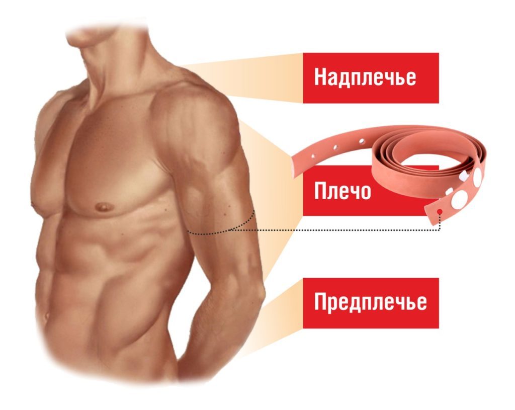 Схематическое разделение надплечье, плеча и предплечья