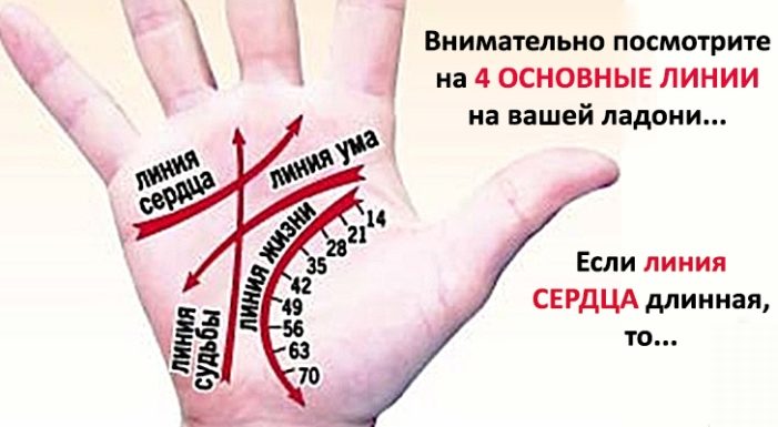 Основные линии