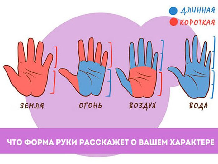 Форма руки