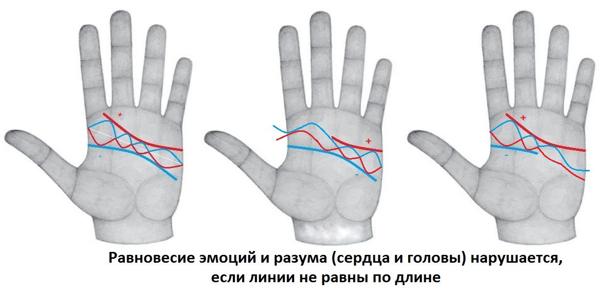 Рука