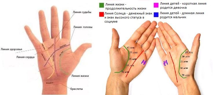Линии с описанием