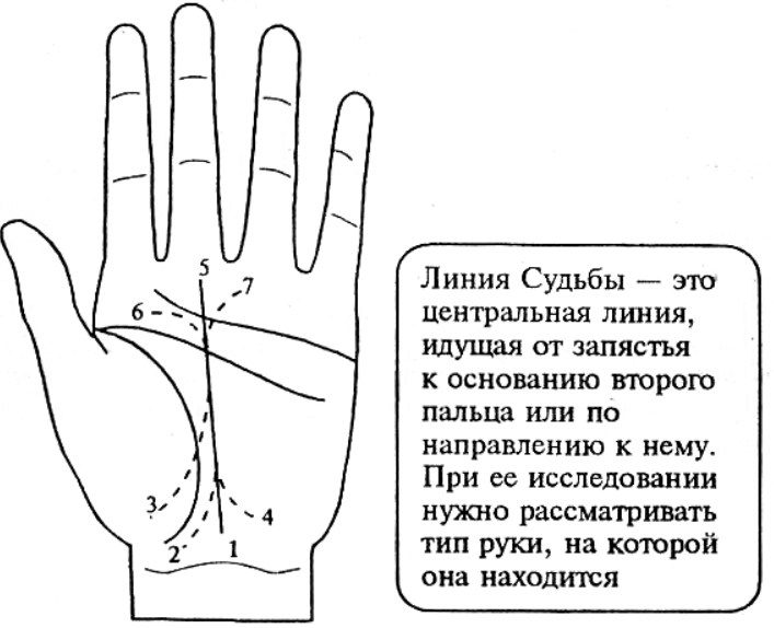 Центральная линия