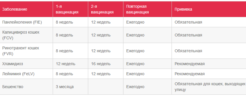 Безымянный