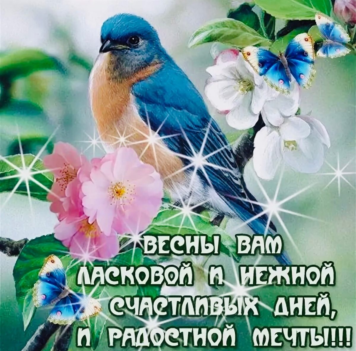 Приятные слова